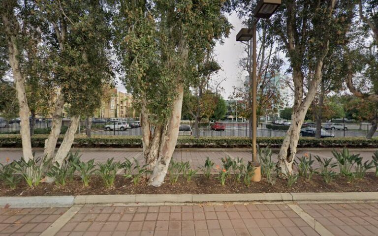 413824 the biondi law firm aplc 768x480