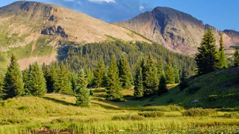 414216 the bruntz law firm llc 768x432