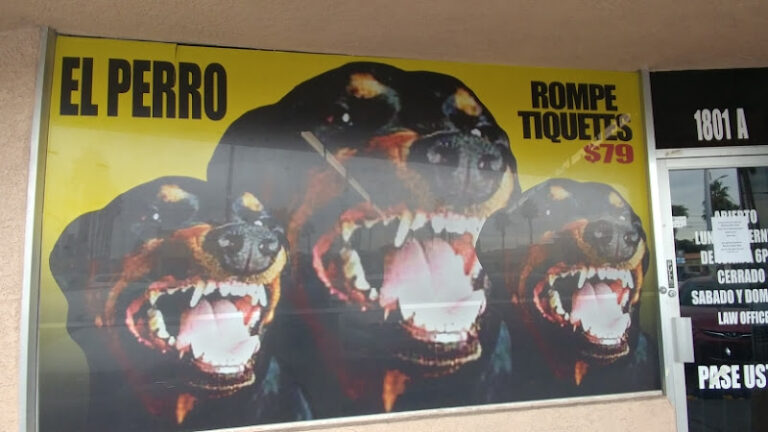 415278 the dawg traffic ticket law office 768x432