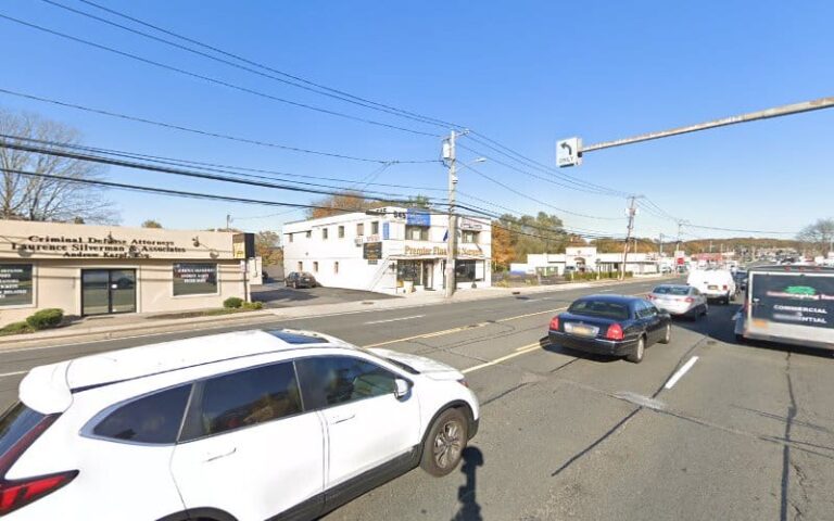 415490 the dog lawyer 768x480