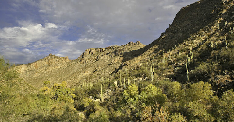 416219 the fleischman law firm pc 768x400