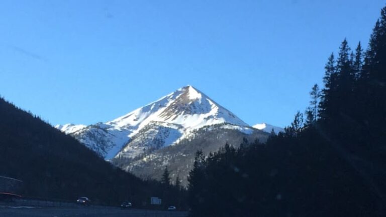 417536 the hofer law firm 768x433