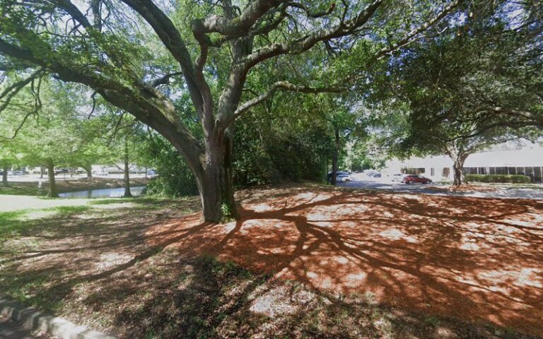 418096 the jones law firm p.a 768x480