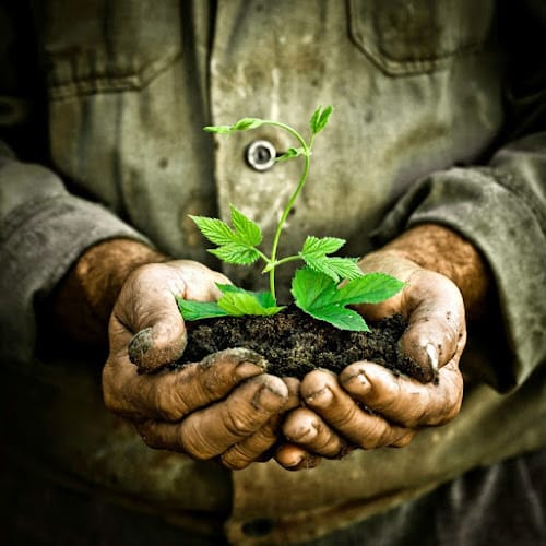 419464 the law office of andrew magdy