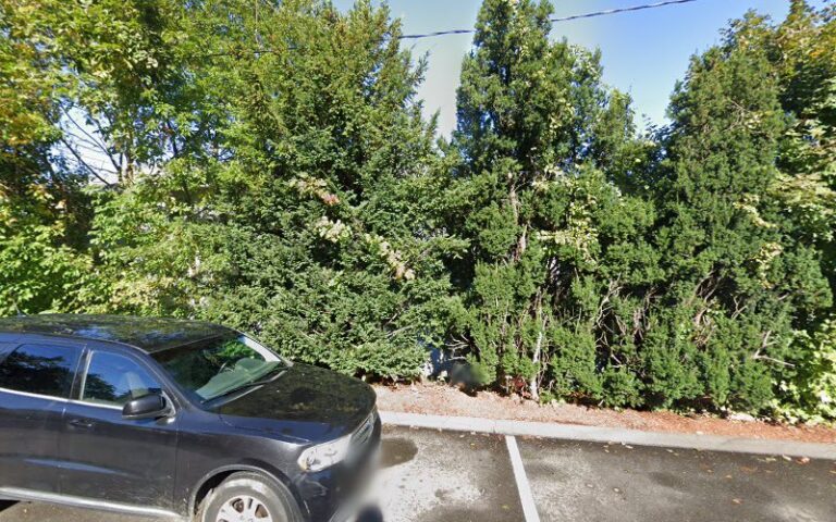 419501 the law office of anita c. di gioia llc 768x480