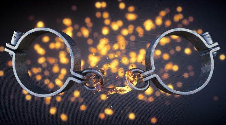 420861 the law office of erick cruz p.a 768x426