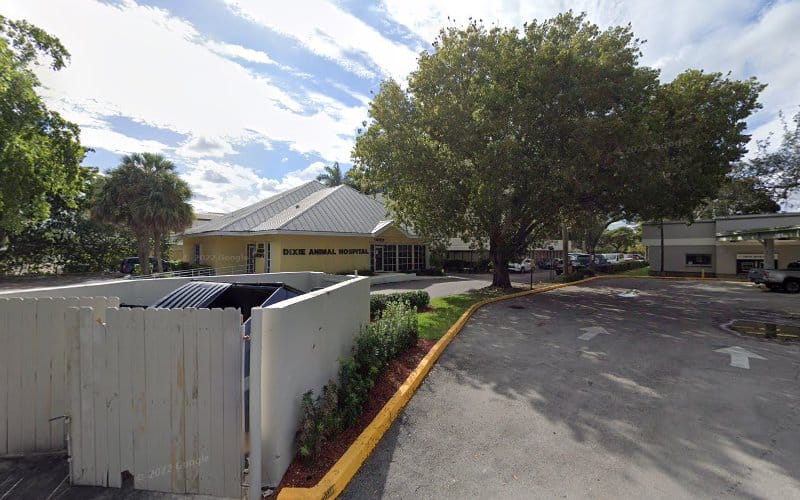423108 the law office of michelle alexandra gonzalez p.a