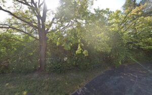 Feature image