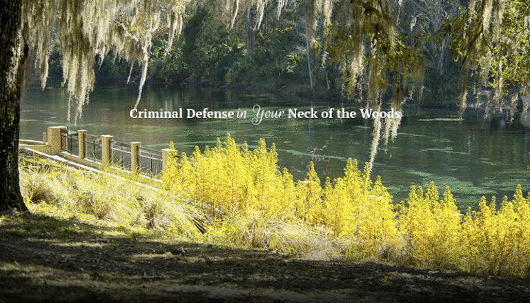 423956 the law office of ryan n. yadav llc 768x439