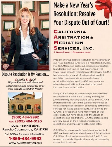 424175 the law office of soheila azizi associates p.c
