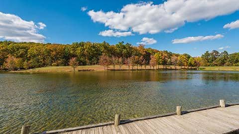 424731 the law office phillips allen pa