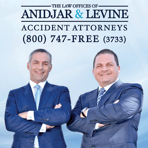 424919 the law offices of anidjar levine