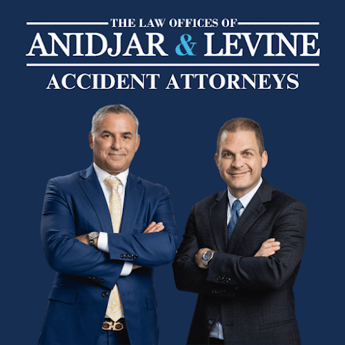 424928 the law offices of anidjar levine
