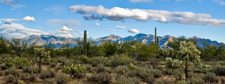 425273 the law offices of charnesky dieglio l.l.c 768x286