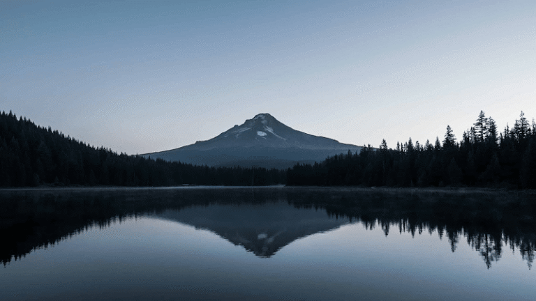 425906 the law offices of erik nicholson 768x432