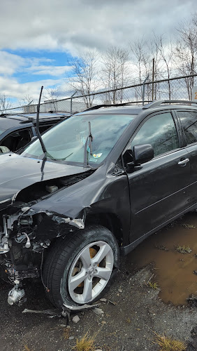 426749 the law offices of joseph j. cariglia p.c