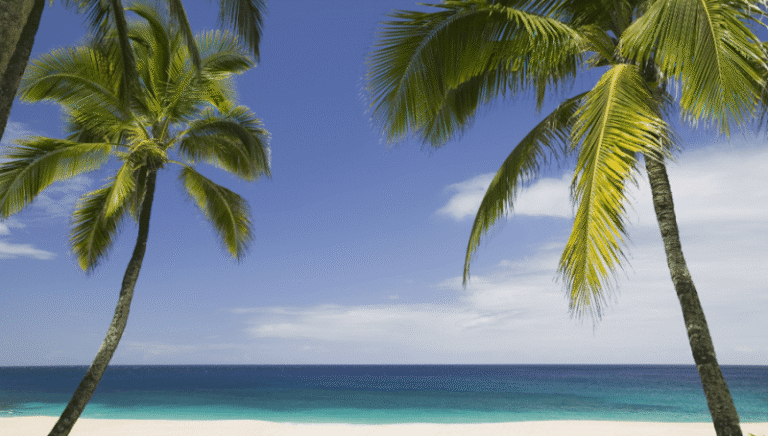 426858 the law offices of kathleen kentish lucero 768x436