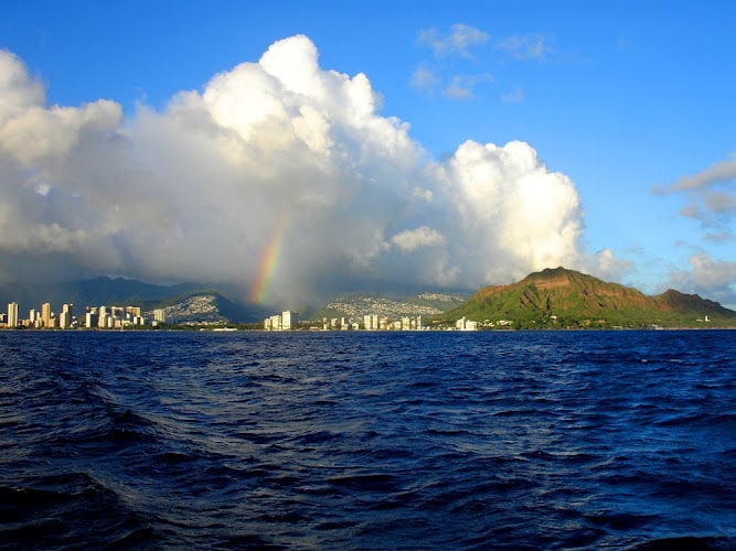 428652 the law offices of william c bullard