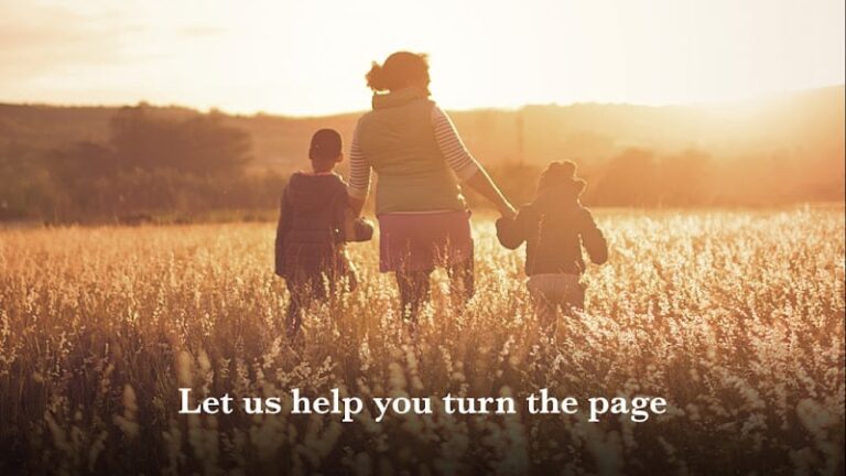 428726 the law shop minnesota 768x432