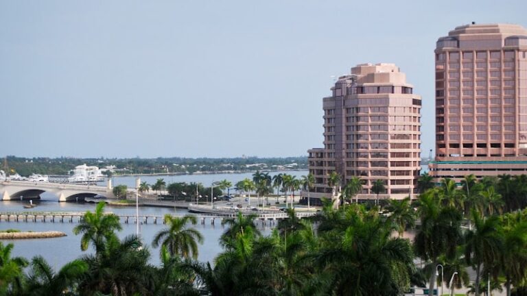 430930 the plus ip firm 768x432