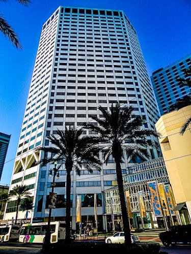 431157 the q law firm