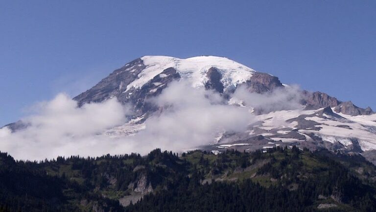 431187 the rainier law group 768x432