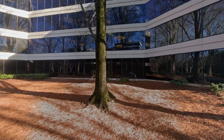 431381 the rice law firm llc 768x480