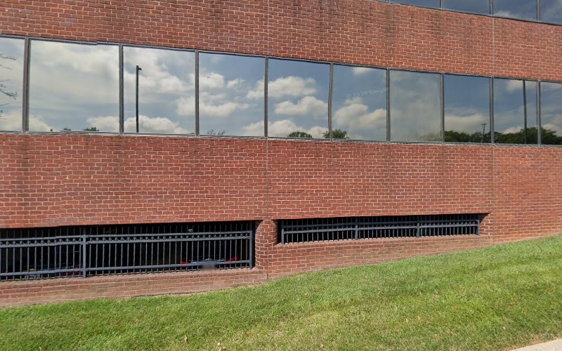 431407 the ridley group associates llc