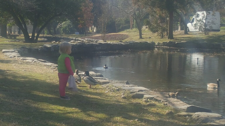 432167 the shaw law group 768x432