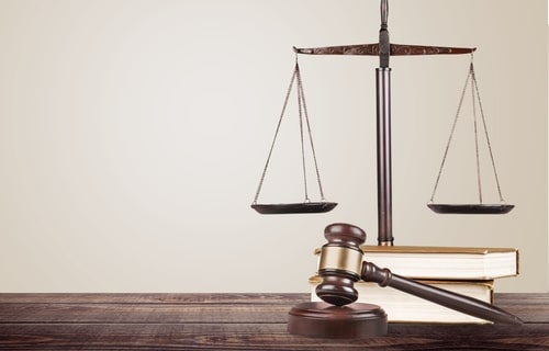 432566 the stein law group