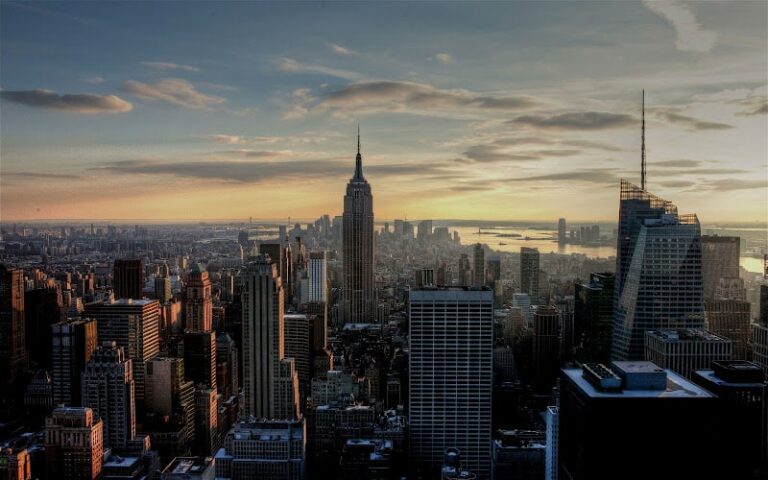 432574 the stein law group 768x480