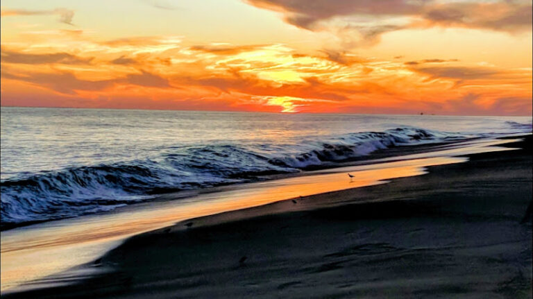 432694 the suggs law firm pllc 768x431