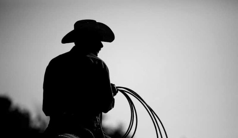 432820 the tax lawman llc 768x446