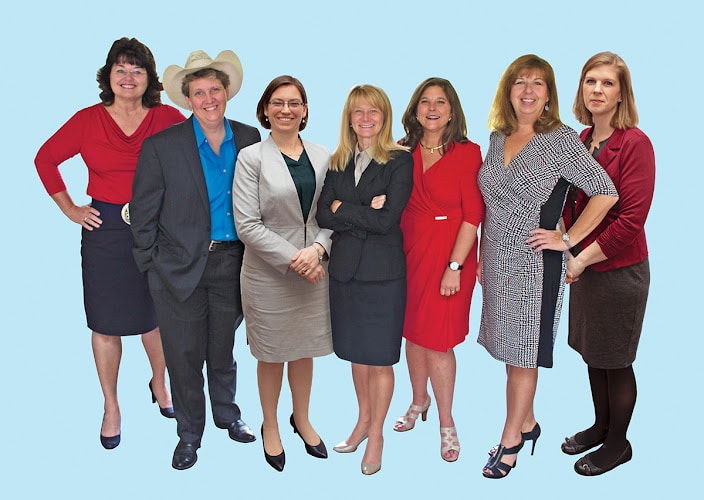 433859 the womens legal group