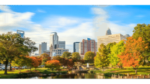 Feature image