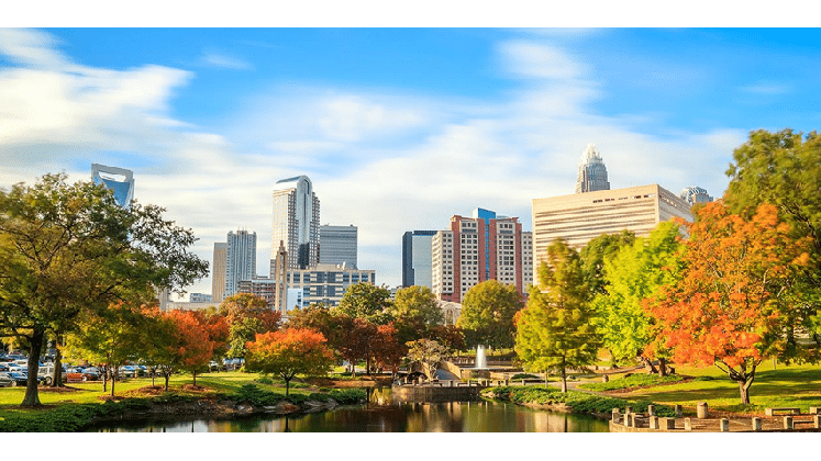 433869 the wood law firm pa
