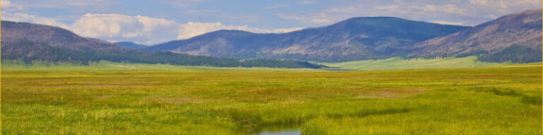 436094 thomas w. banner attorney 768x192