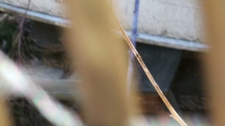 436245 thompson howle 768x432