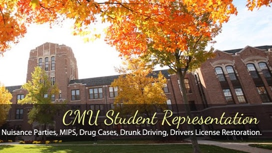 438715 todd levitt attorney at law