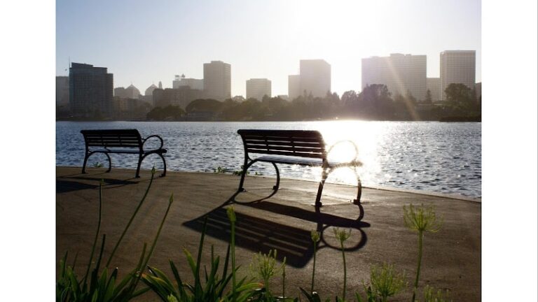 439274 tomine law 768x432