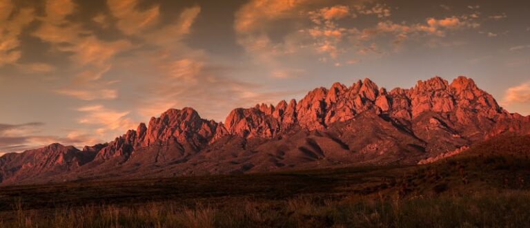440711 transportation law new mexico 768x330