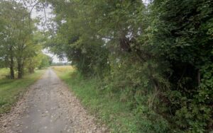 Feature image
