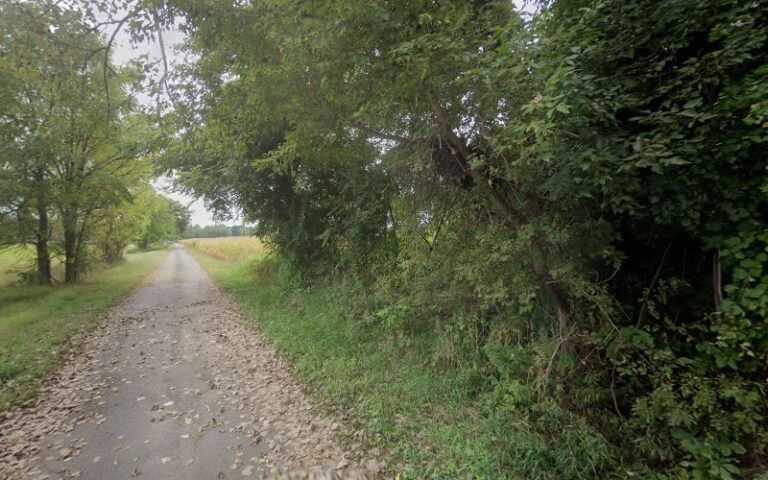 441079 trella michael j 768x480