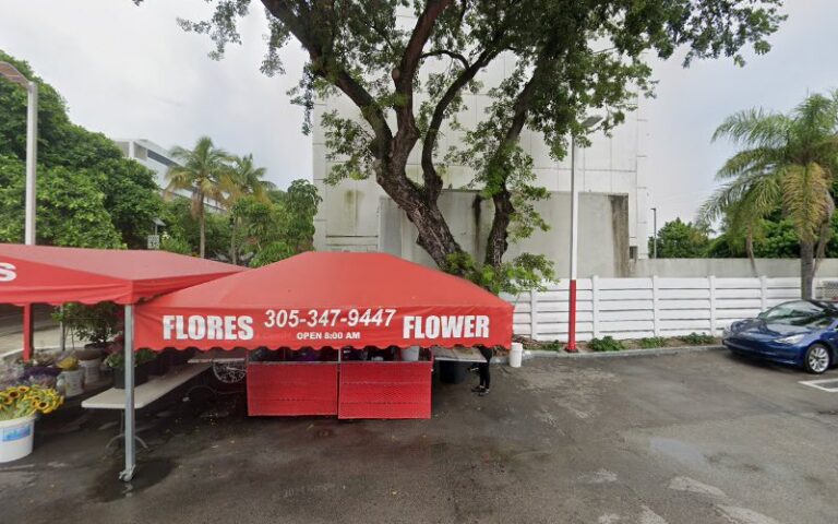 441363 triana law firm 768x480