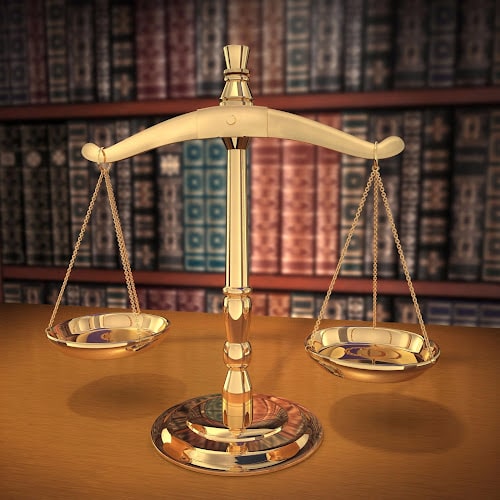 441431 tri cities family law