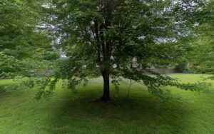 Feature image