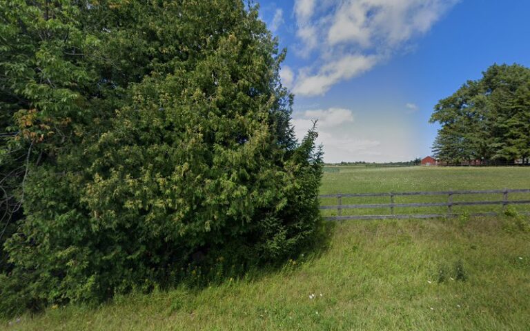 444797 usitex law inc 768x480