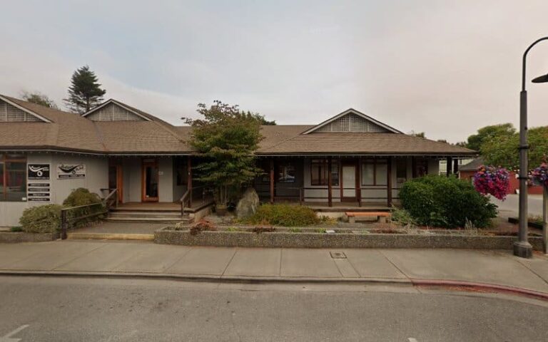 445443 value felicia 768x480