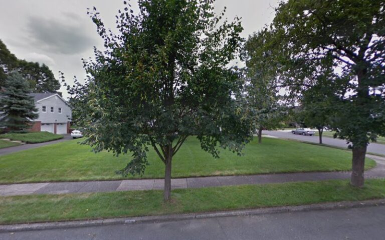 445986 vander werf vander werf 768x480