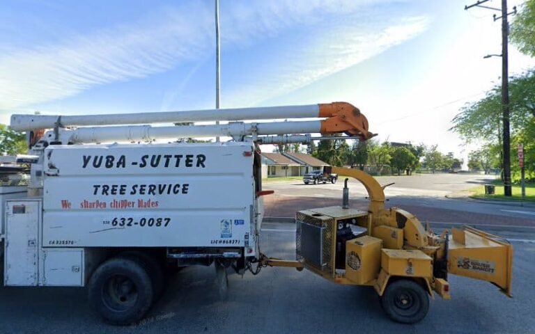 446372 vasquez david w 768x480